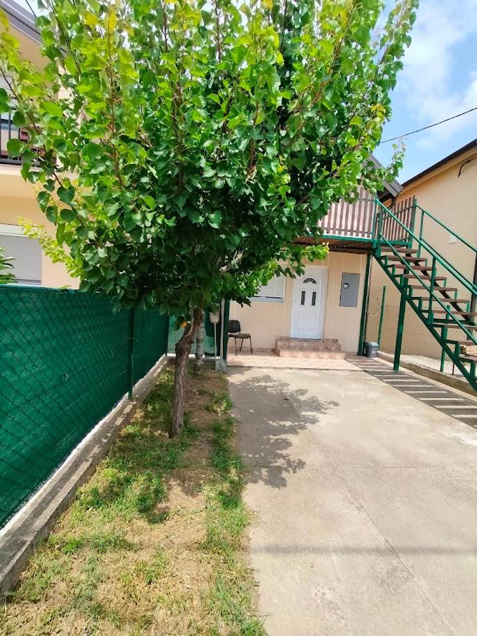 A1 - Airport Belgrade Apartment Exteriér fotografie